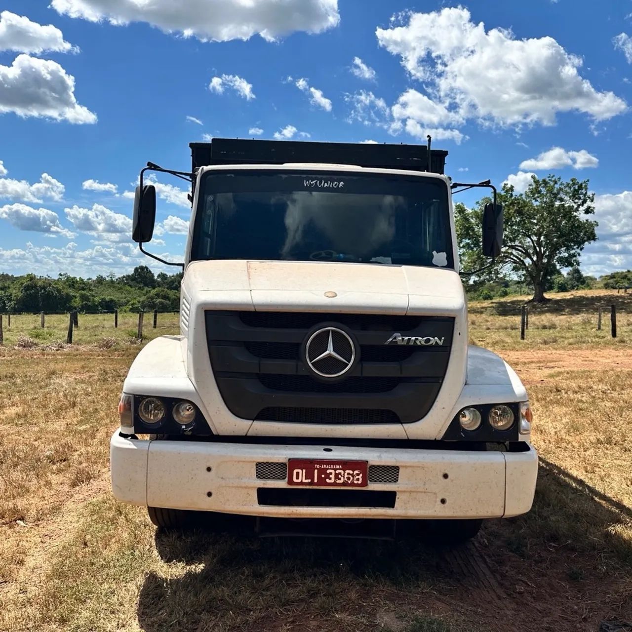 CAMINHÃO BOIADEIRO ASTRON  - Foto 2