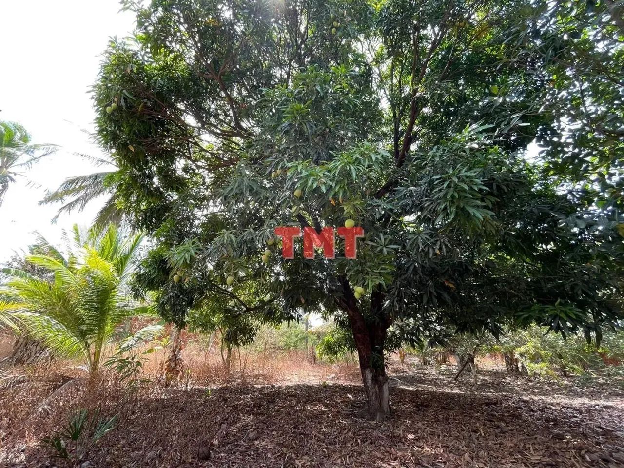 Sítio para Venda em Maranguape, Mucunã, 8 dormitórios, 6 suítes, 6 banheiros - Foto 4