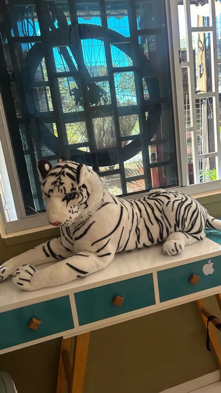 Tigre - Foto 5