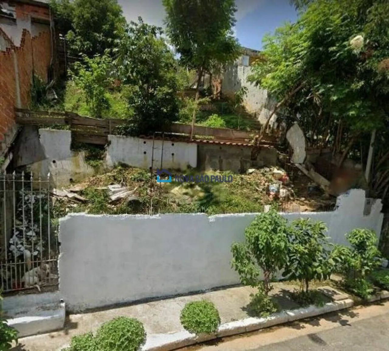 Terreno - Bosque da Saúde - 250 m² - Foto 3