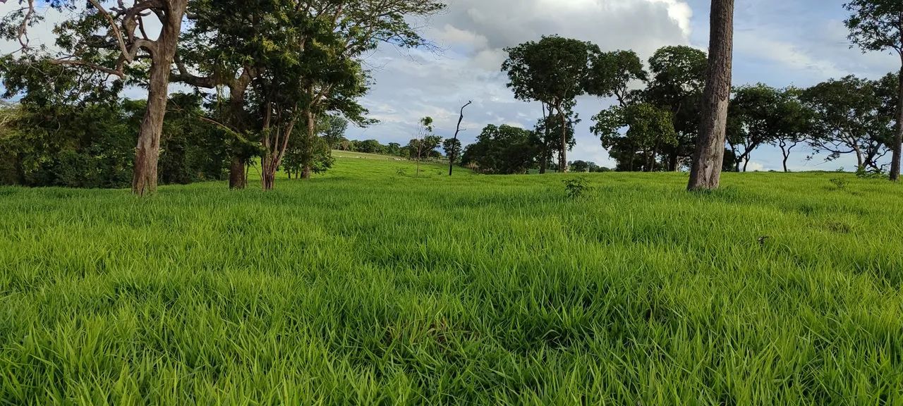 Chácara em Bela VISTA  - Foto 3