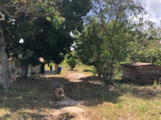 Sítio em São Lourenço da Mata - Foto 4