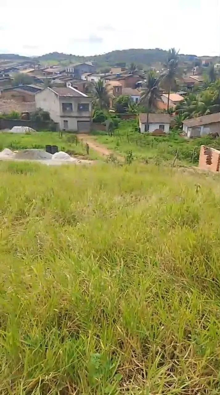 TERRENO 