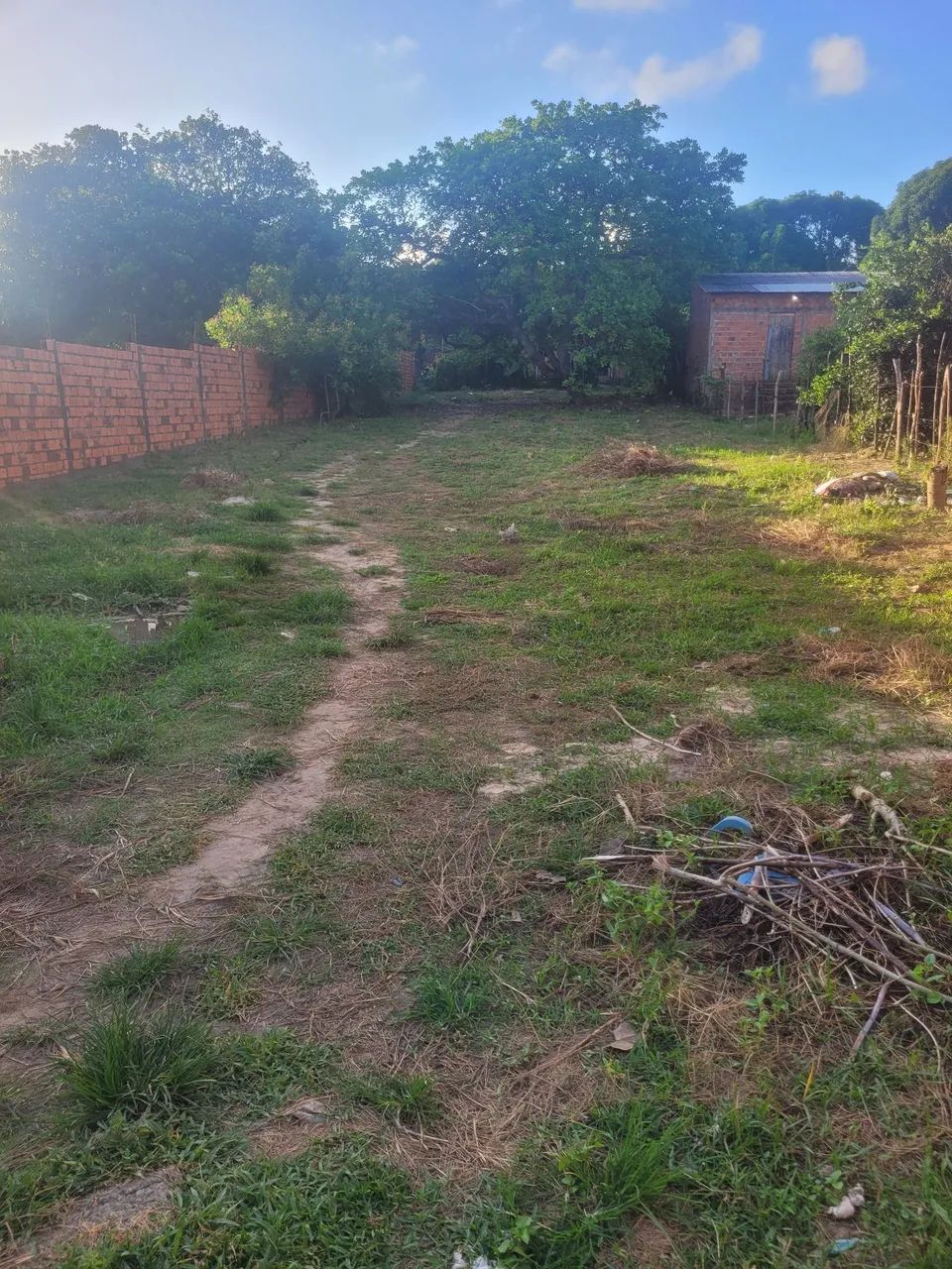 Localização raposa (ma) - Foto 4