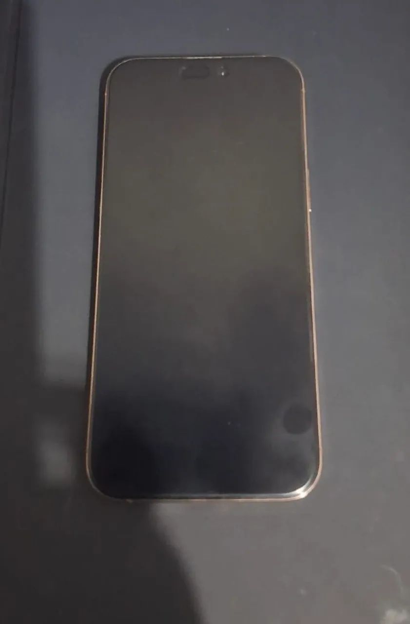 Vendo 16 Pro Max 256GB
