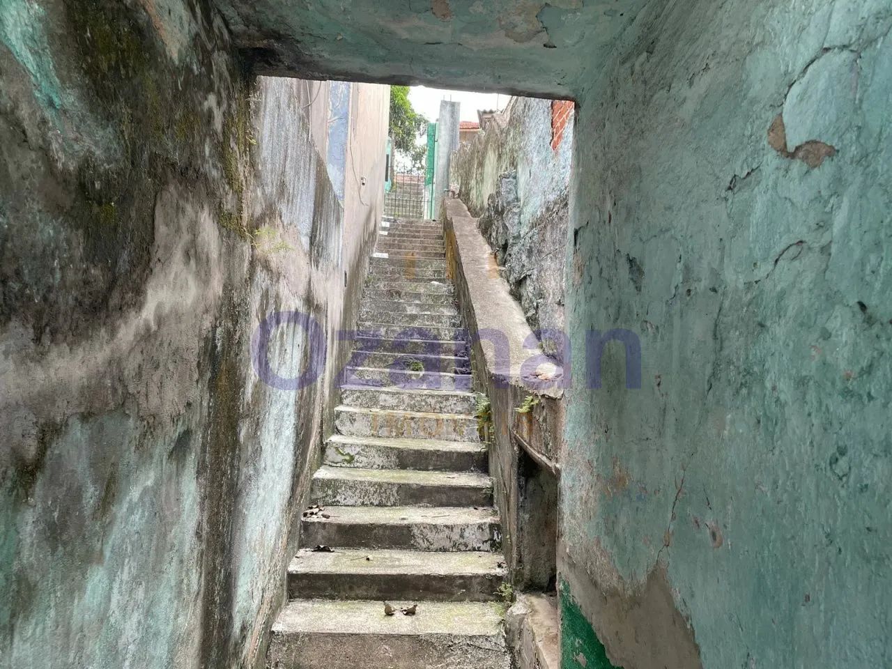 TERRENO NA AV. MUTINGA - Foto 5