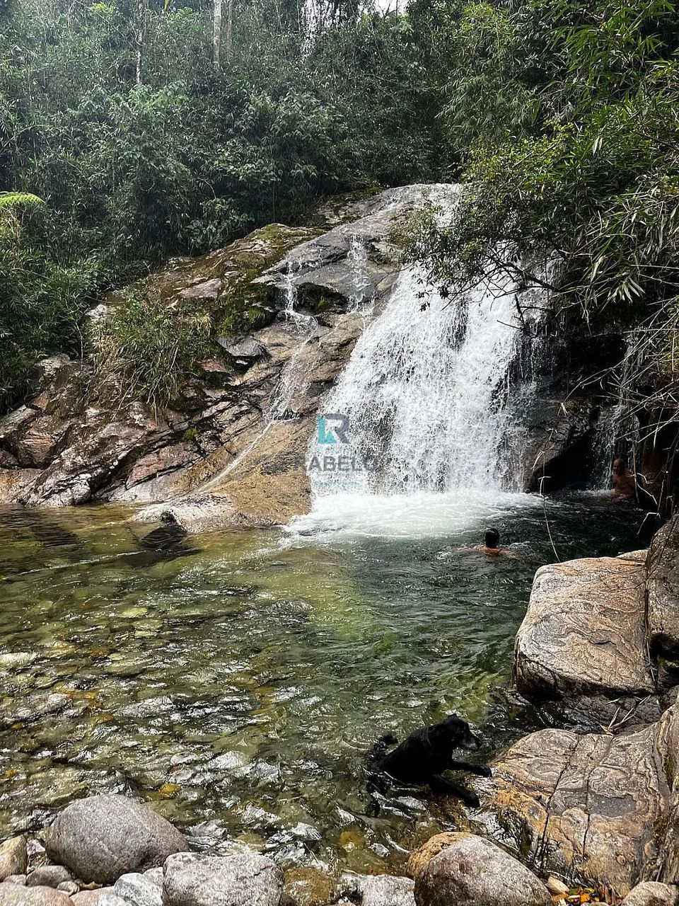 SÍTIO COM MATA E ACESSO Á 3 CACHOEIRAS EM ENG.PASSOS-RJ - Foto 4