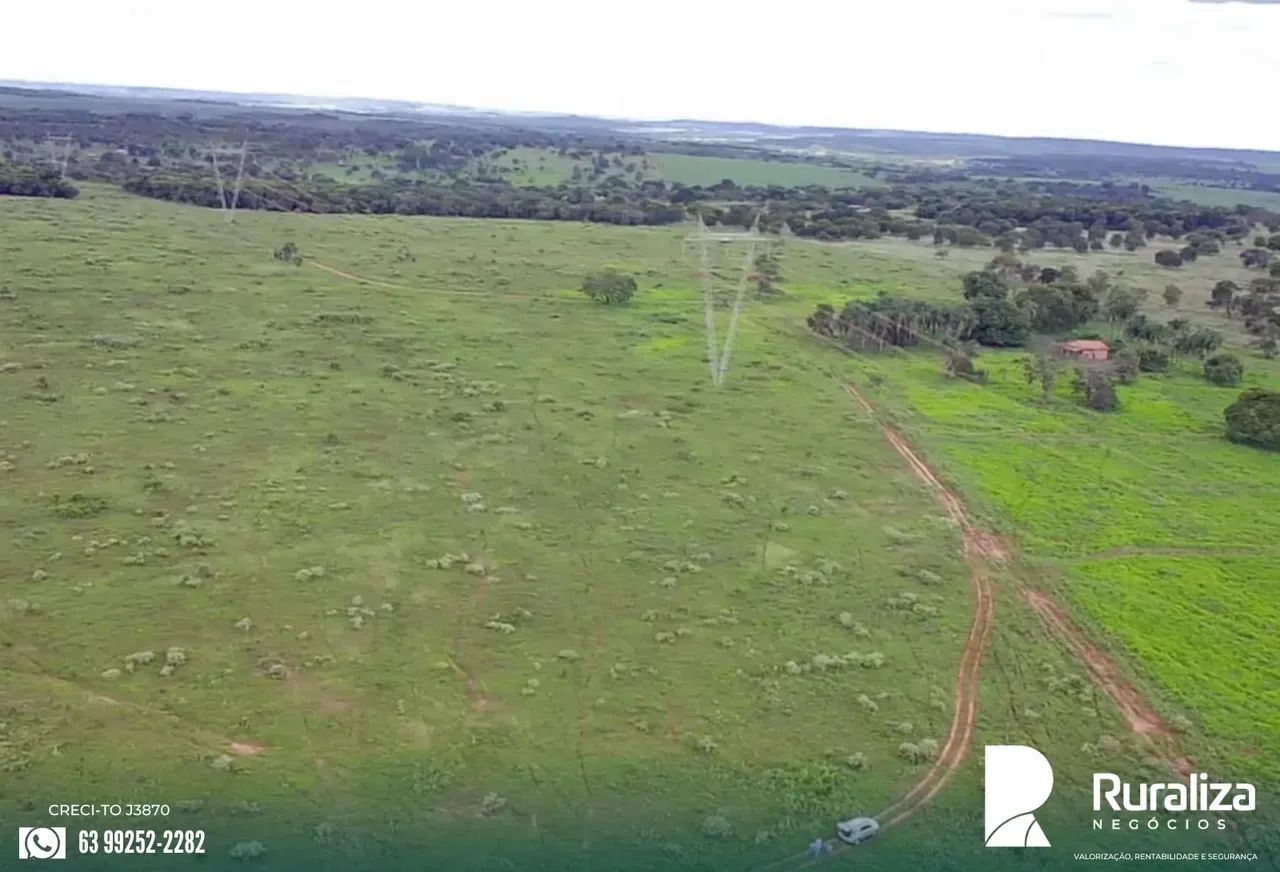 126 HA COM POTENCIAL PARA LAVOURA | NASCENTES E POÇO ARTESIAN - Foto 3
