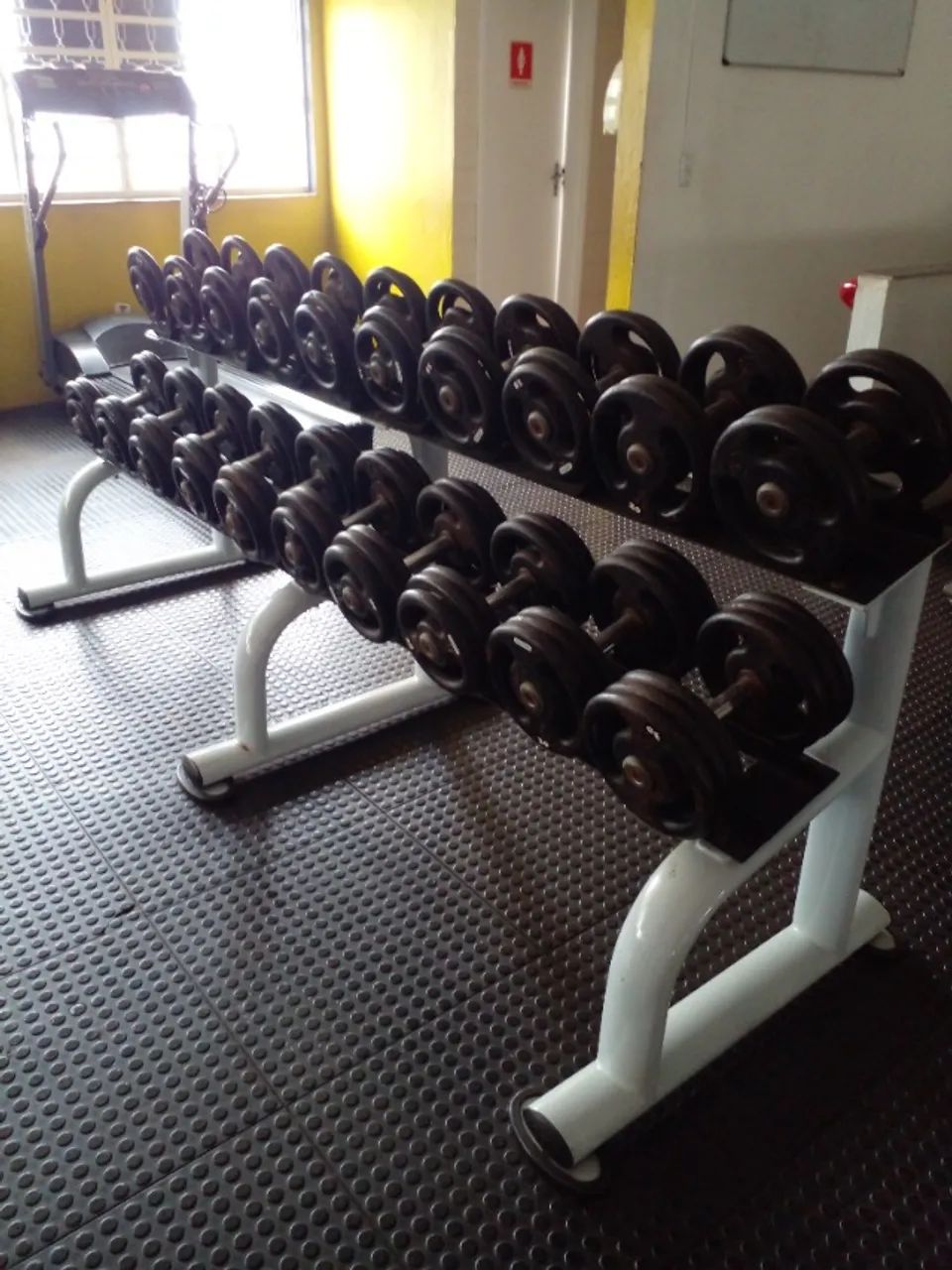 Dumbell + Suporte 