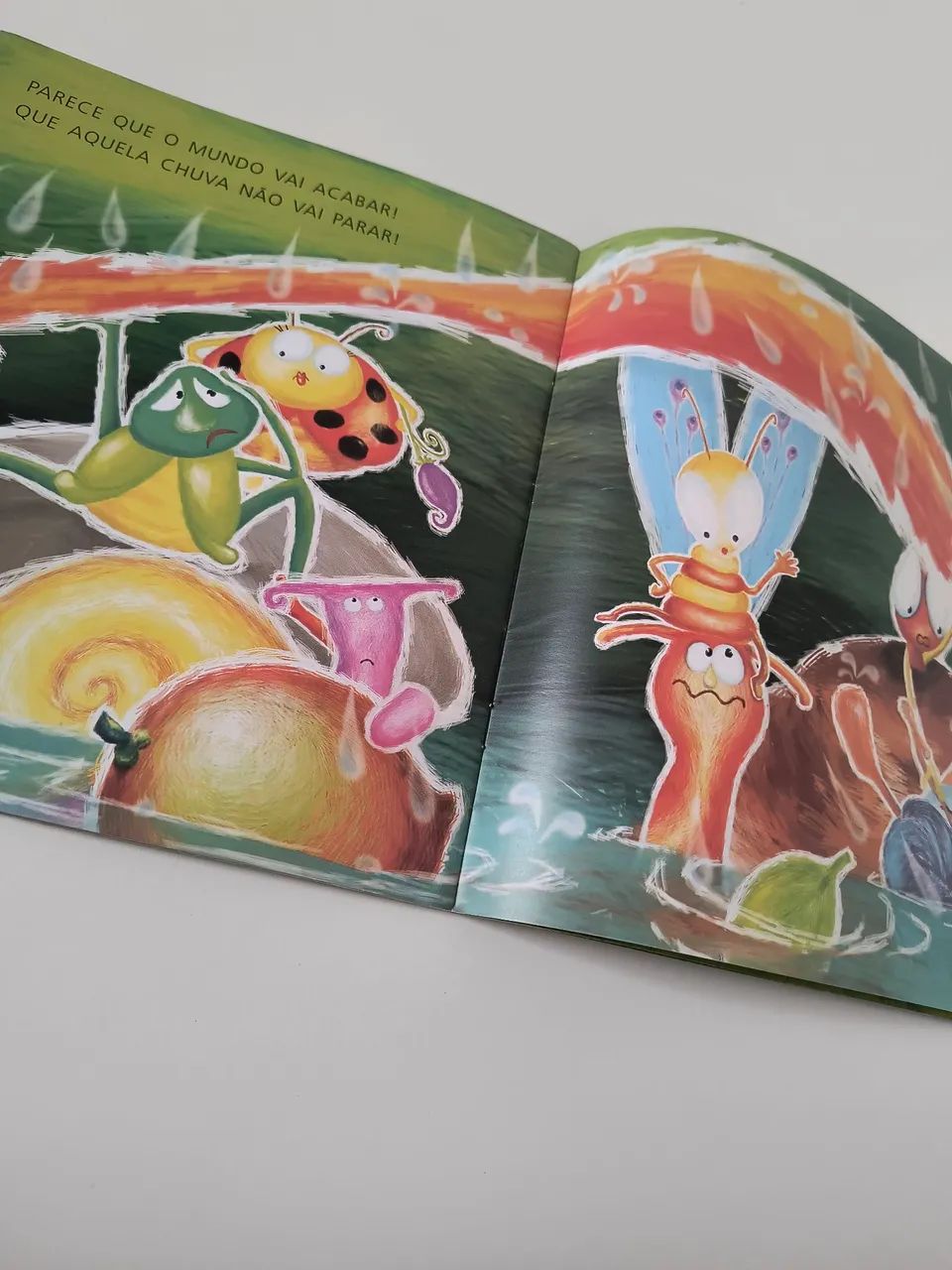 Livro Infantil "A Chuvarada" - Foto 3