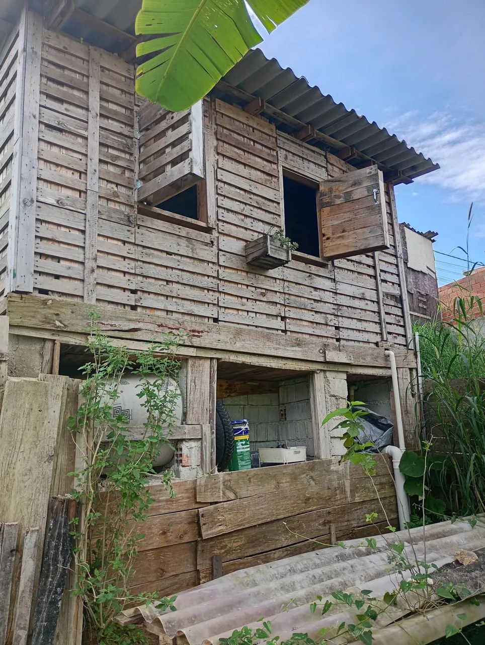 Foto - São Paulo - Jardim Noronha