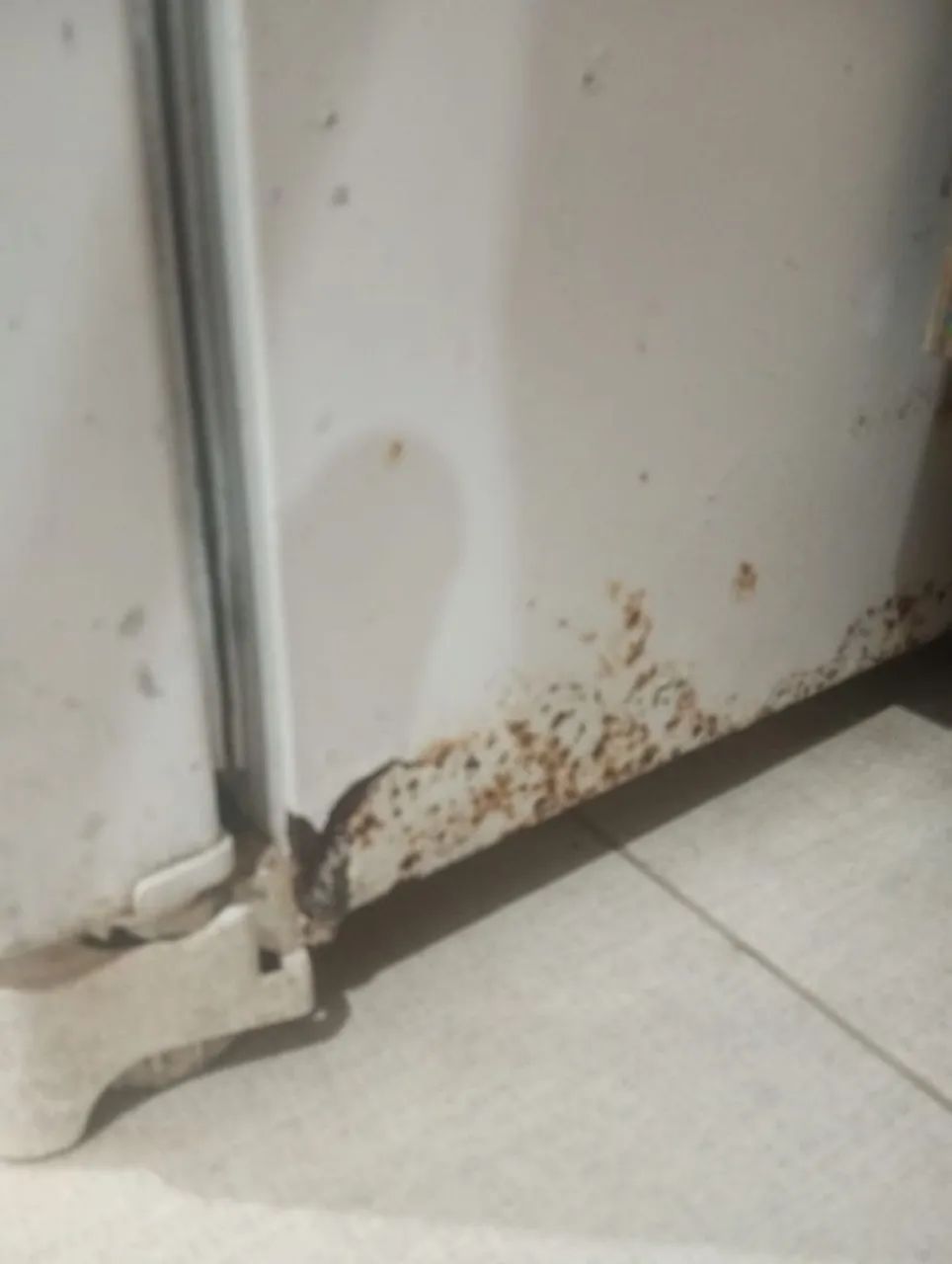 Geladeira  - Foto 4