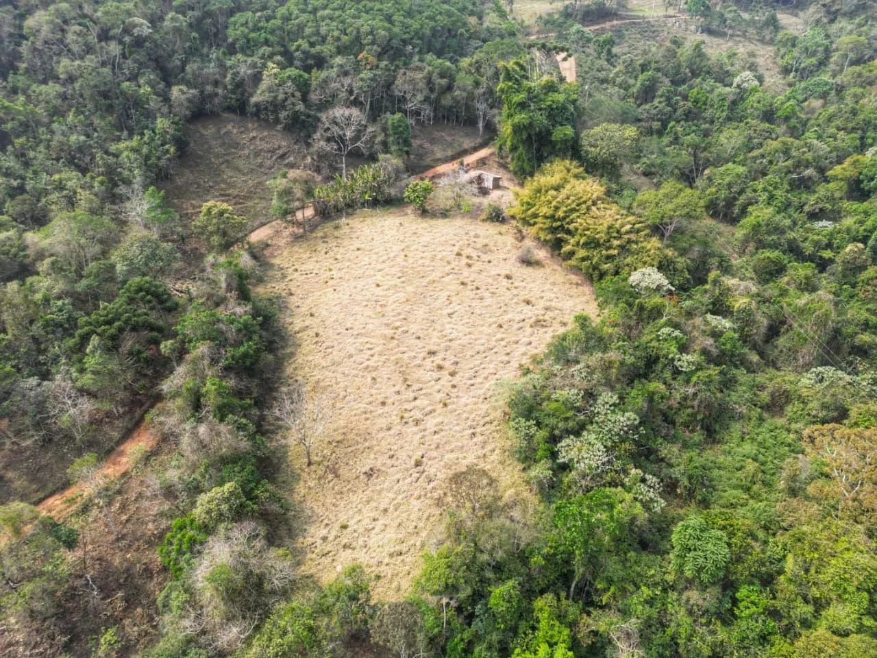 Terreno, 4 alqueires. - Foto 4