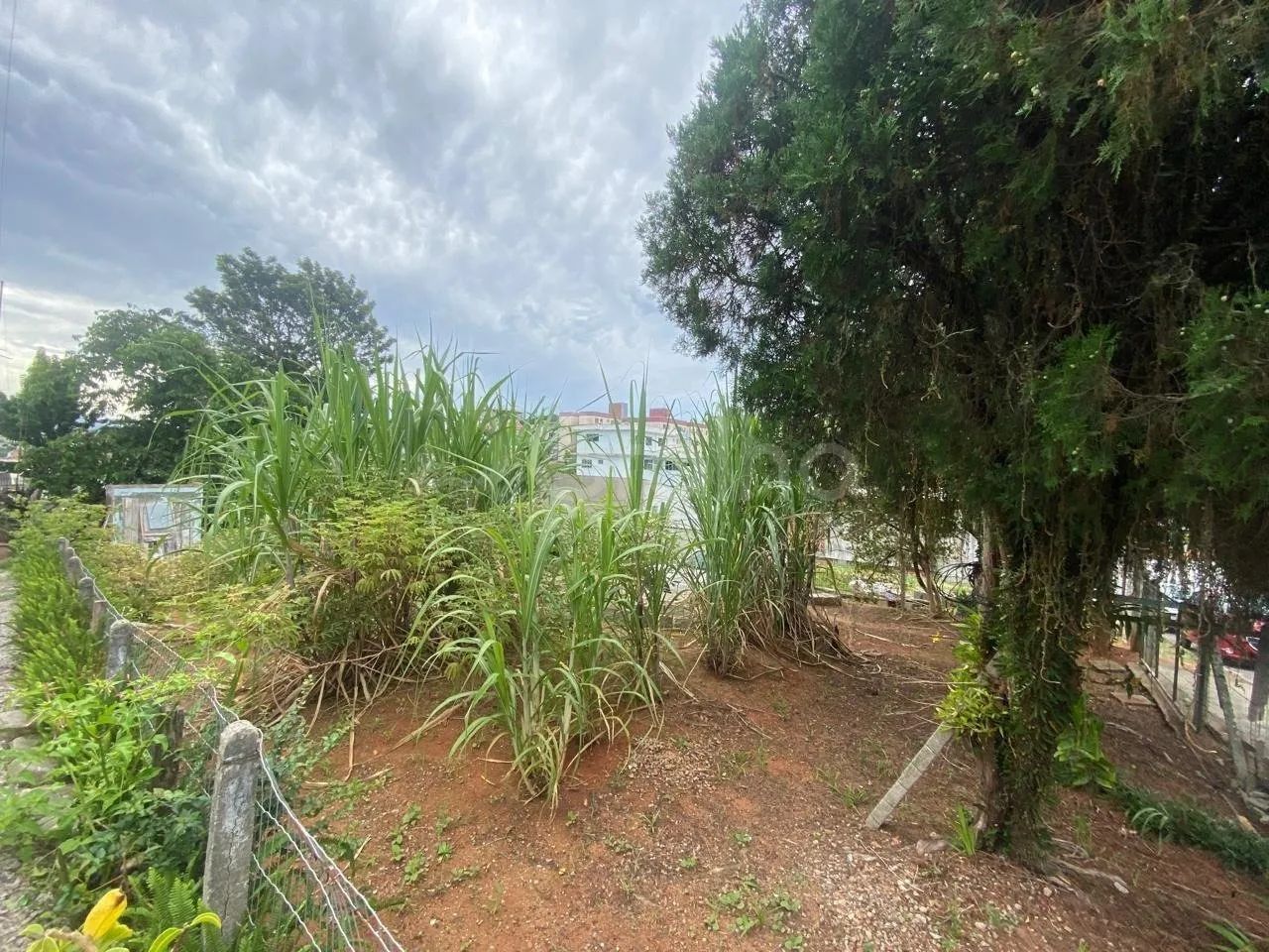 Terreno de 428,40m2 no bairro Jardim Atlântico