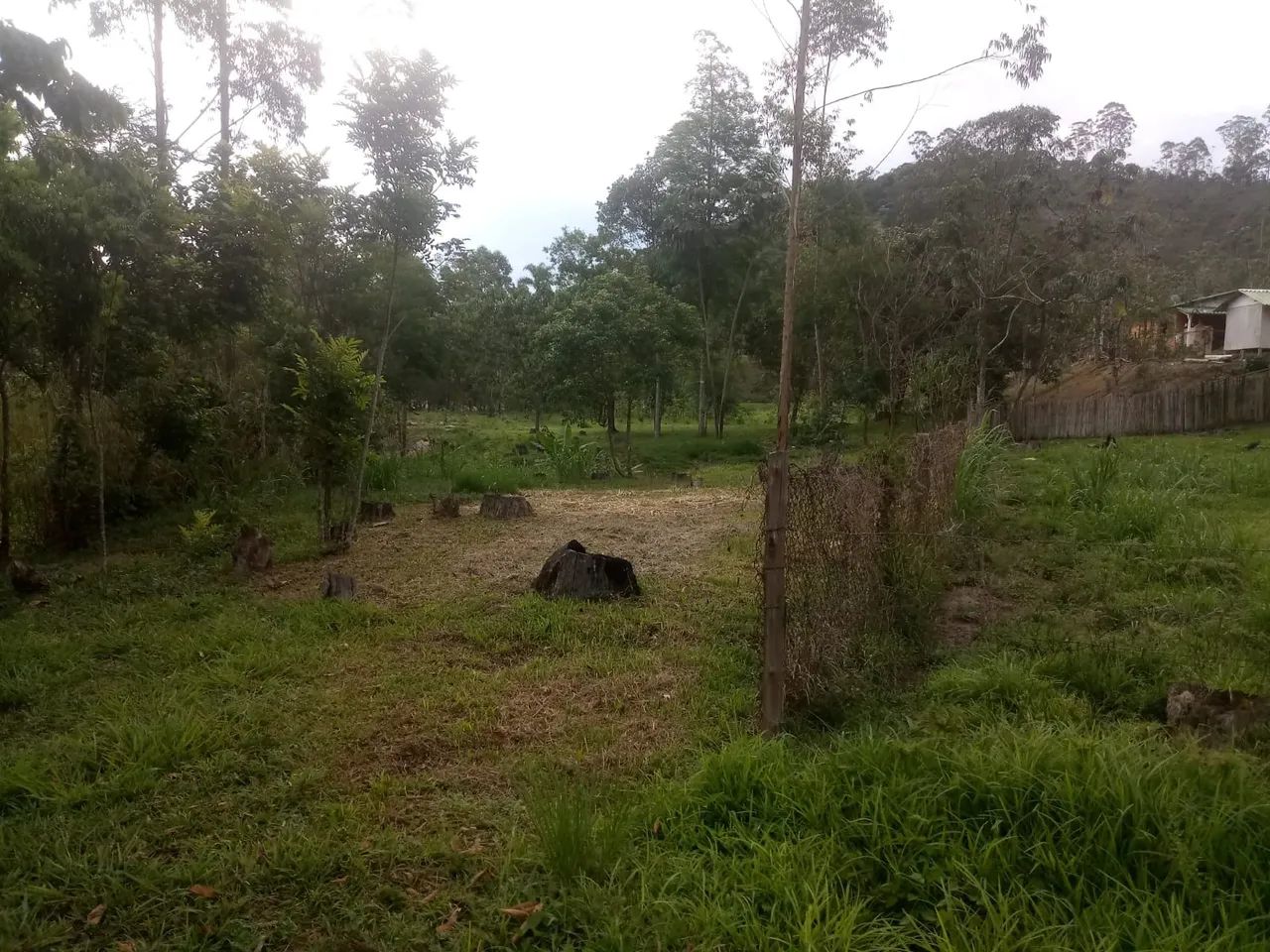 SÍTIO RURAL em MONTEIRO LOBATO - SP, PONTE NOVA - Foto 5