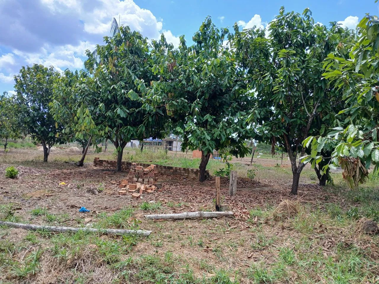 Terreno  - Foto 5