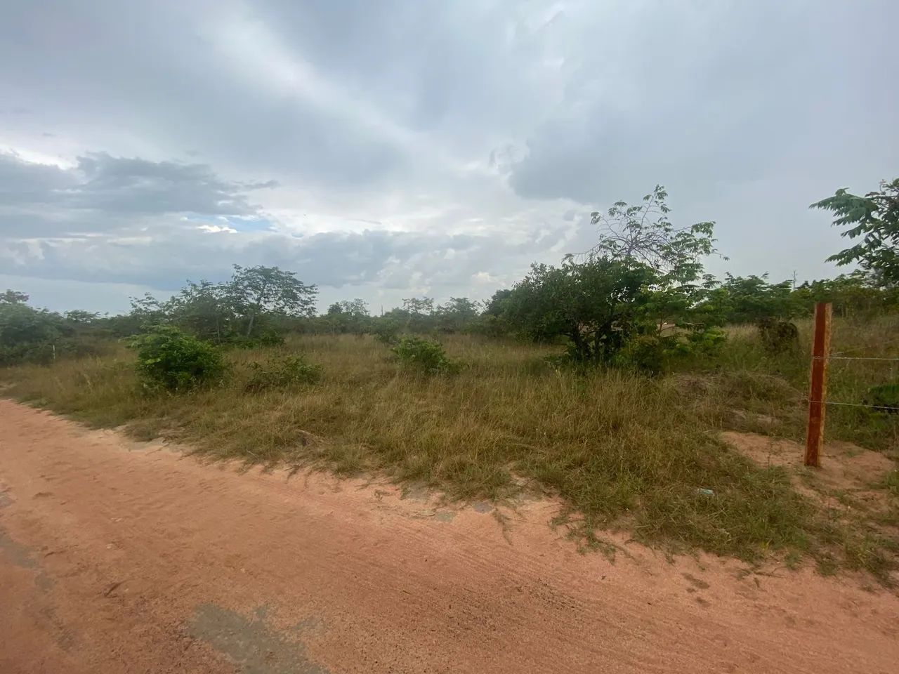 Lote - Foto 4