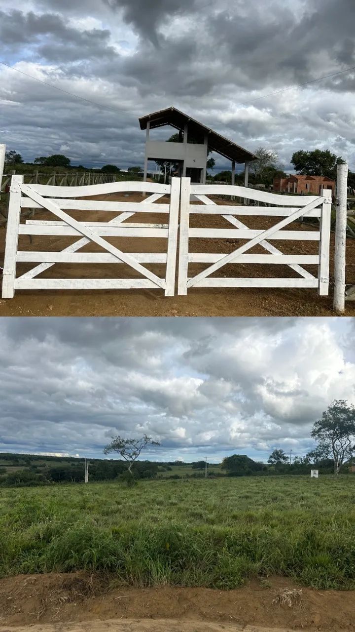 Foto - Vitória da Conquista - Primavera