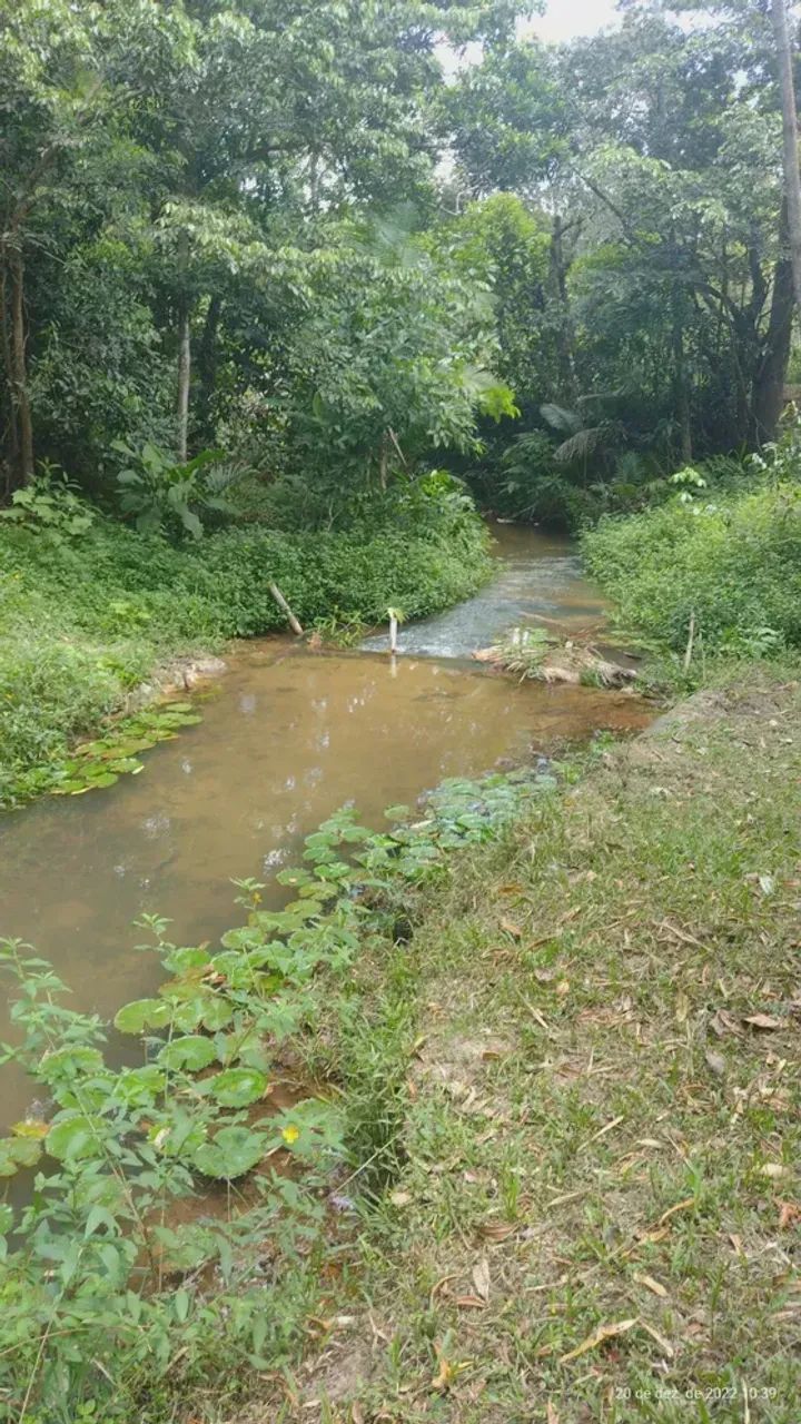 propriedade em Aldeia, um verdadeiro paraíso com e benfeitorias, poço, riacho - Foto 2