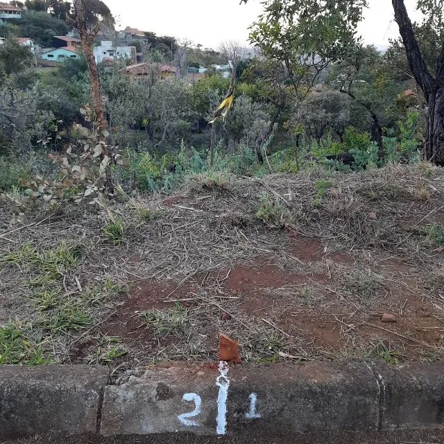 Vendo Lote 750m2 em BH - Foto 4
