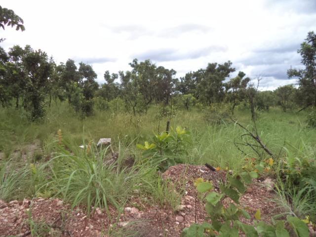 Chacara sentido estrada Guia - Foto 4
