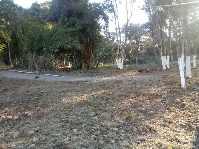 Excelente area para chacrinha com 4.675m² ( 85:00x 55:00 m) - Foto 2