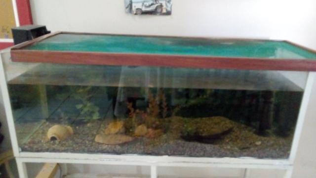 Aquário 1,35m