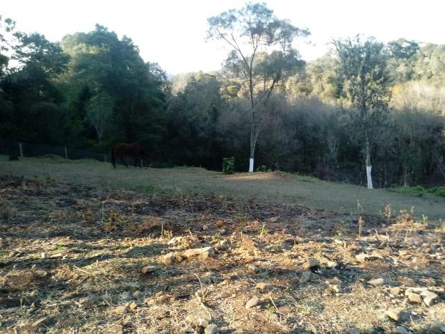Excelente area para chacrinha com 4.675m² ( 85:00x 55:00 m) - Foto 5