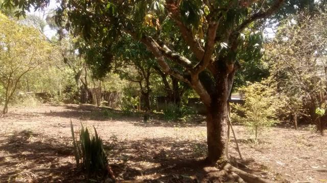 Venda - Chácara em Jacareí - 3000m2
