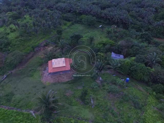 Sitio na região de santo antonio - Foto 8