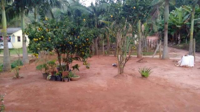 Casa rural em Todos os Santos Marechal Floriano - Foto 5