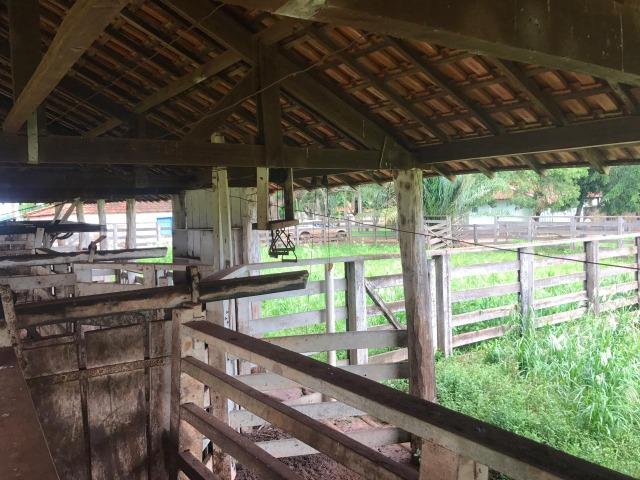 Vende-se Fazenda na Cidade de Dirce Reis-SP - Foto 17