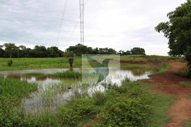 Chácara à venda, 127340 m² por r$ 249.500 - zona rural - rondonópolis/mato grosso - Foto 13