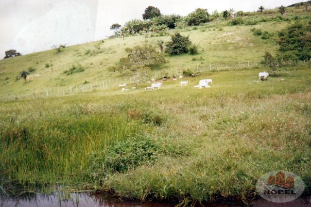 Chácara à venda em Zona rural, Castro alves cod:4570 - Foto 11