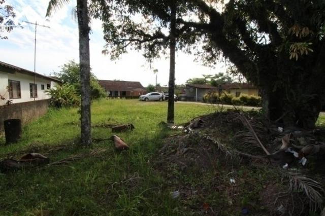 1249 terreno l balneário barra do sul - costeira - Foto 7