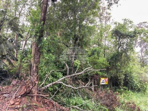 Terreno à venda em Barreirinha, Curitiba cod:142312 - Foto 2