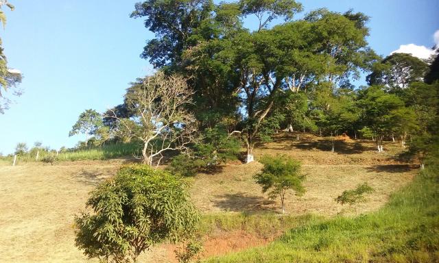 Montanhas de Minas!!! Espaço Mini Sitio Granja Terreno JF Monte Verde - Foto 5