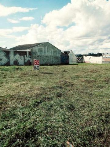 Atuba, Terreno de Esquina, Documentação Ok, Financia - Foto 3