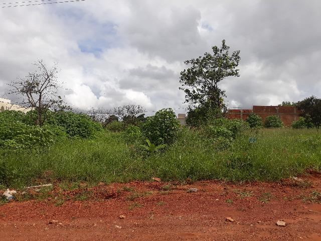 Vendo 2 lotes juntos na qd 2 do estancia quintas da alvorada - Foto 3