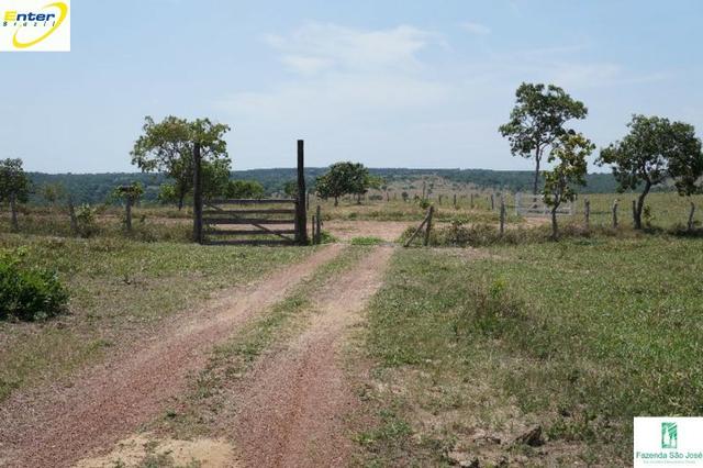 Fazenda- 69,33 hectares- Santo Antônio do Descoberto - Foto 11