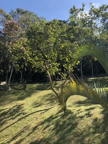 Sala comercial 32m2 com 3 pontos de água e esgoto duas vagas garagem Terreo aceito pet