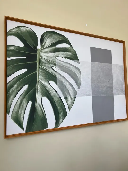 Tela Decorativa (Costela de Adão )
