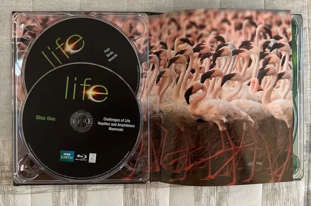 Blu-Ray Life,4 Cds, BBC Earth, Importado. - Foto 5