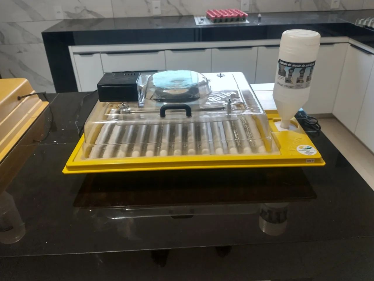 Chocadeira Premium Ecológica 48 ovos