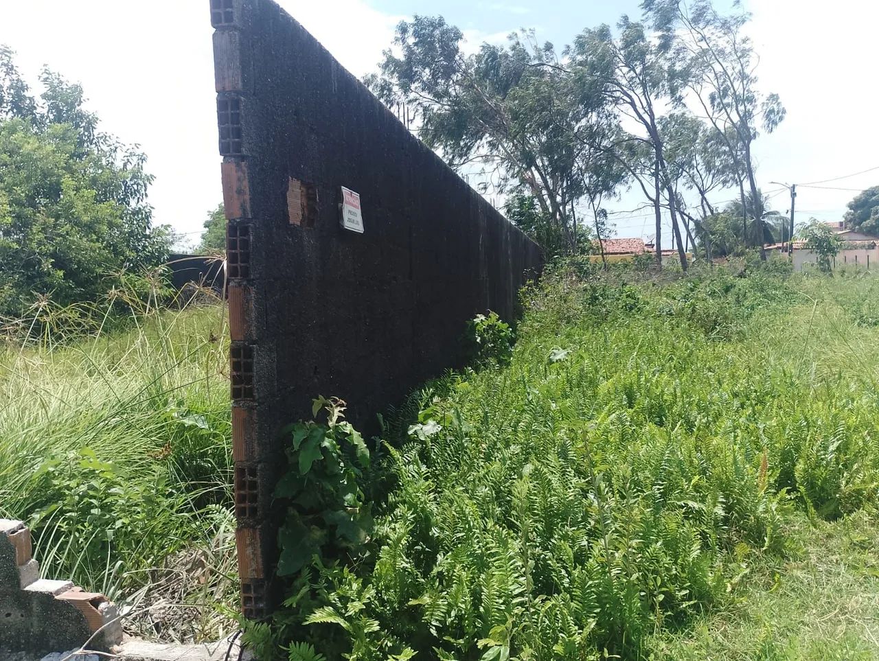 Terreno murado em Catuama (Goiâna) - Foto 2