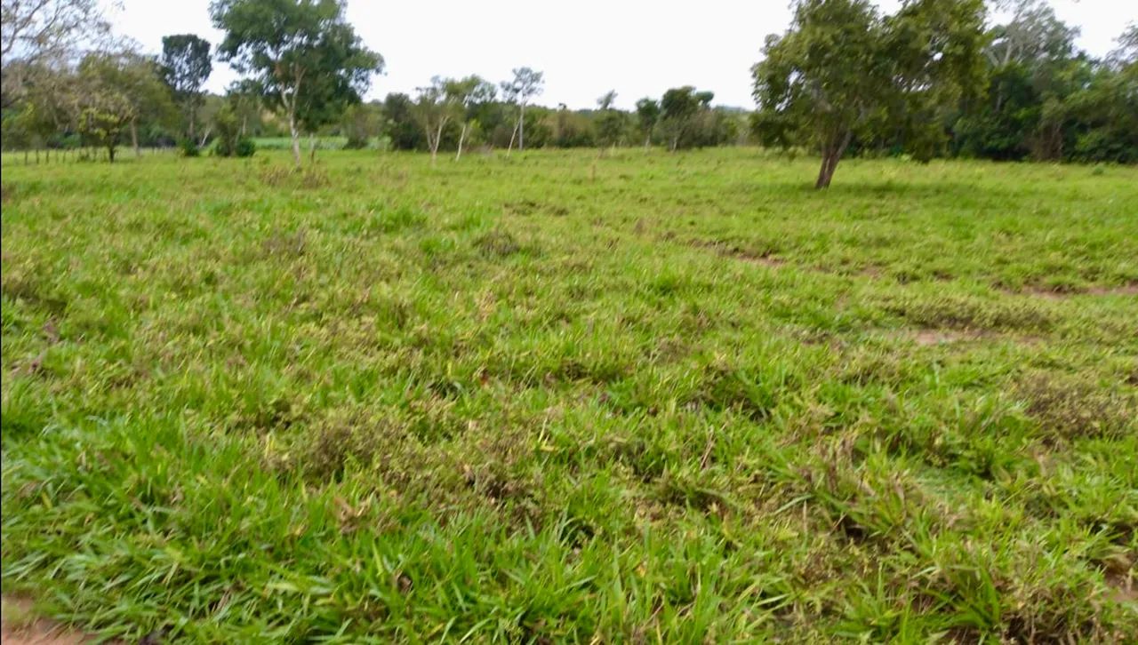 Chácara/Fazenda de 37 hectares - Porto Nacional - TO - Permuta casa em Palmas-TO - Foto 5