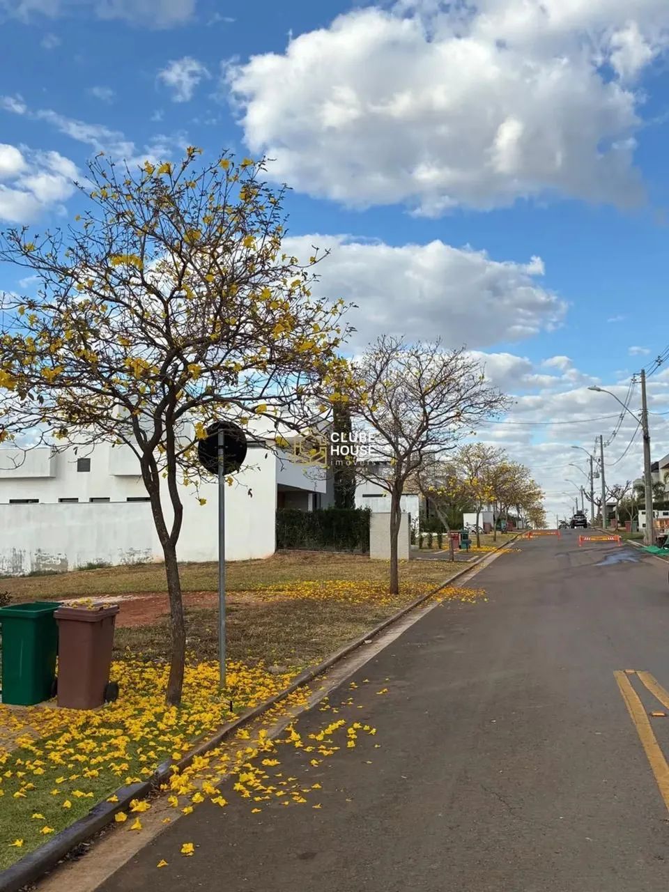 Lote na Rua mais charmosa e arborizada do Terras Alphaville, proximo a portária - Foto 4