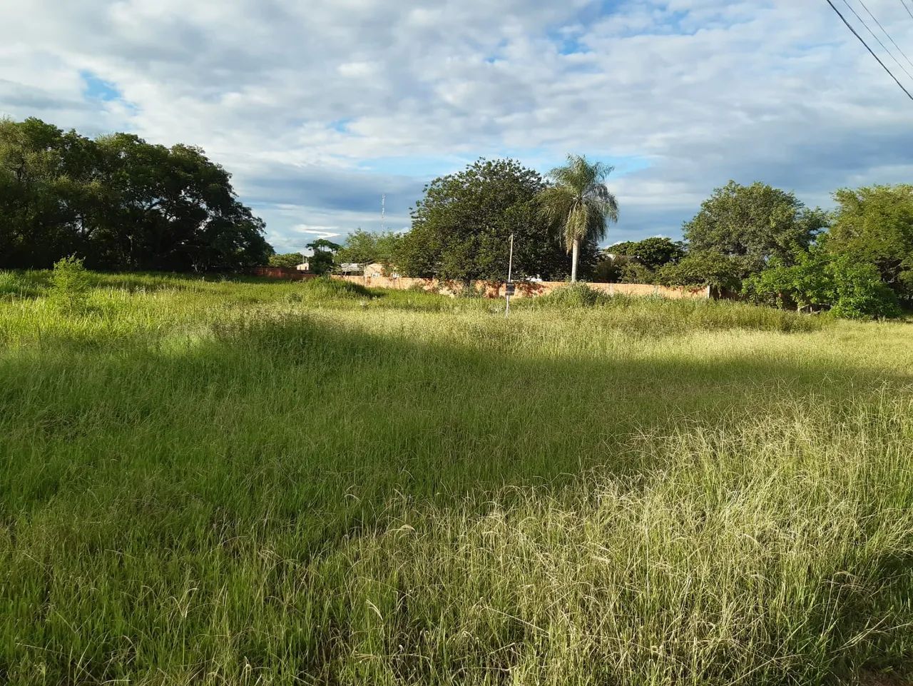 TERRENO EM PORTO MURTINHO- MS - Foto 3