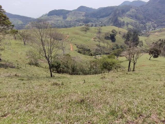 TRAJANO DE MORAES - RURAL - CENTRO - Foto 5