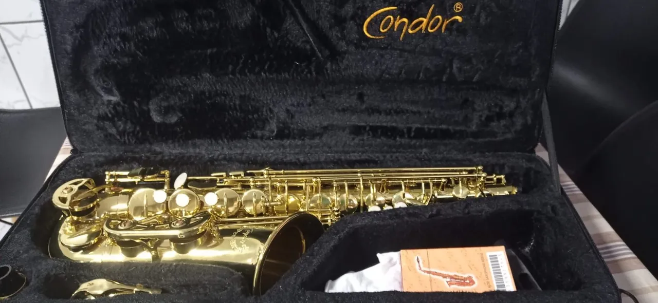 Saxofone alto  Condor Dourado